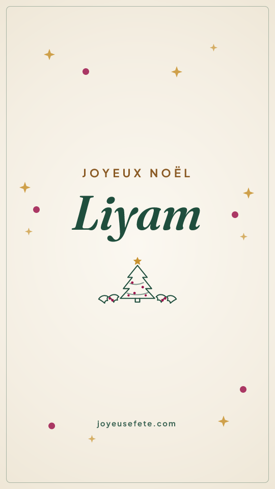 Image « Joyeux Noël Liyam » au format story