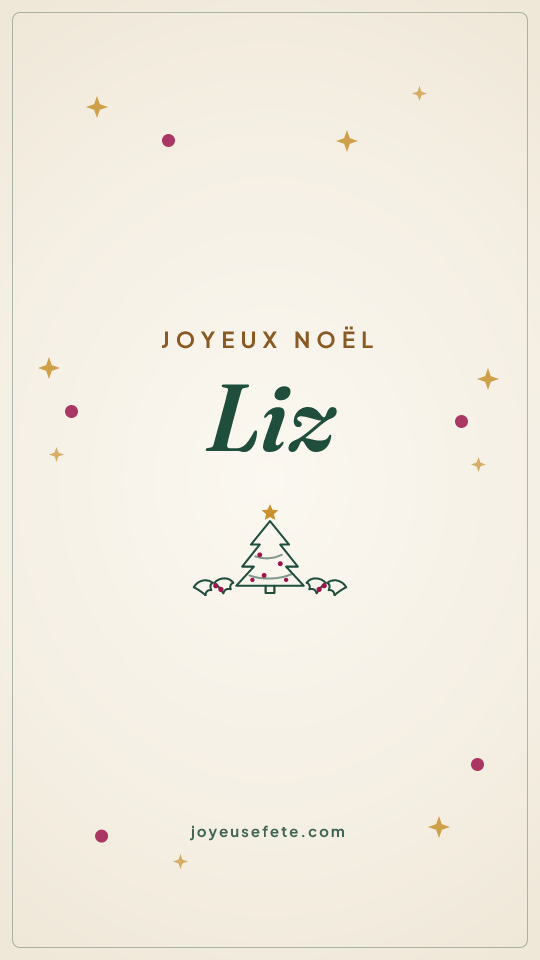 Image « Joyeux Noël Liz » au format story