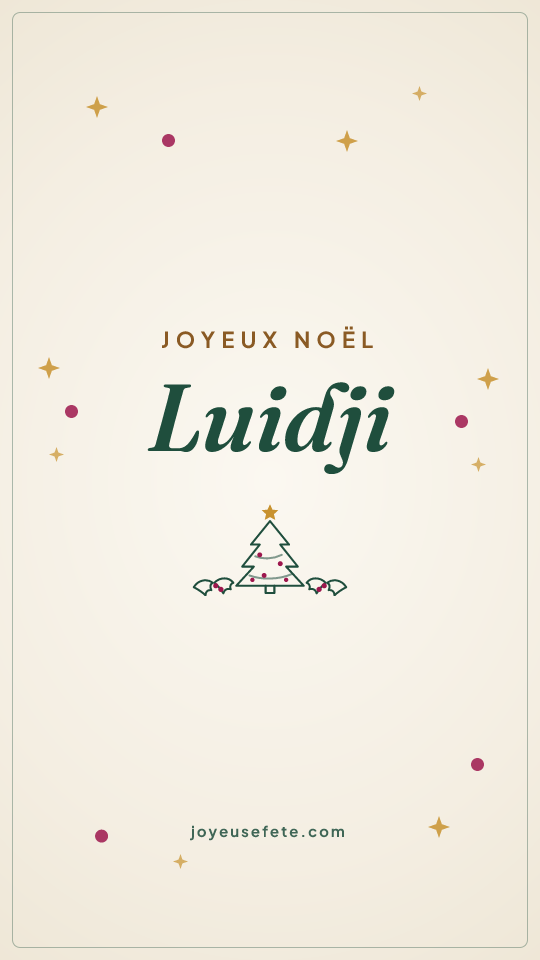 Image « Joyeux Noël Luidji » au format story