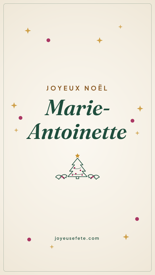 Image « Joyeux Noël Marie-Antoinette » au format story