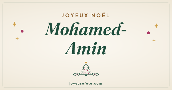 Image « Joyeux Noël Mohamed-Amin » au format large