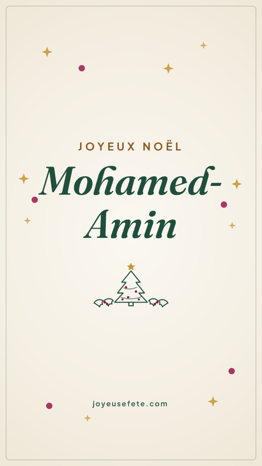 Image « Joyeux Noël Mohamed-Amin » au format story