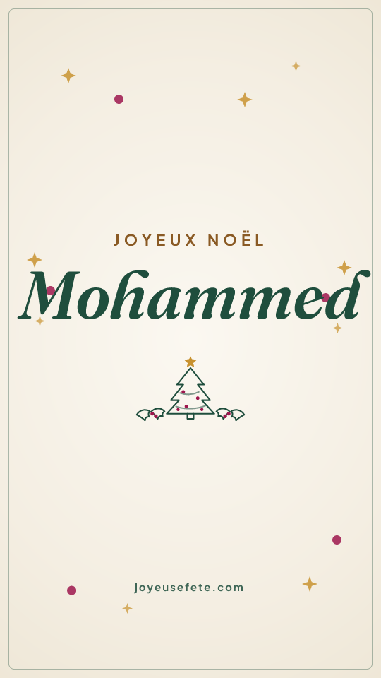 Image « Joyeux Noël Mohammed » au format story