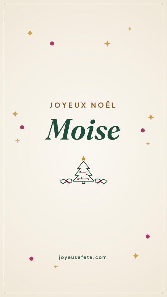 Image « Joyeux Noël Moise » au format story