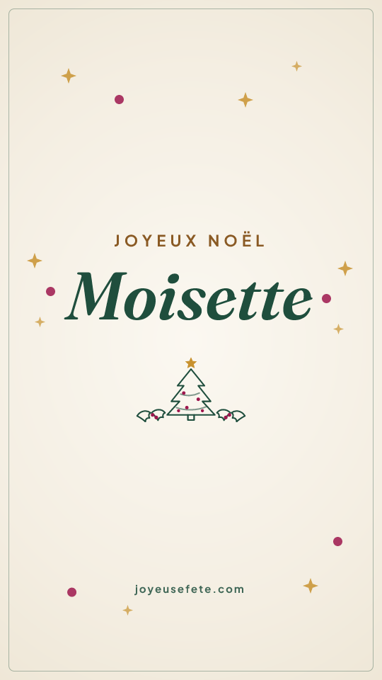 Image « Joyeux Noël Moisette » au format story