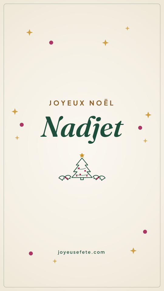 Image « Joyeux Noël Nadjet » au format story