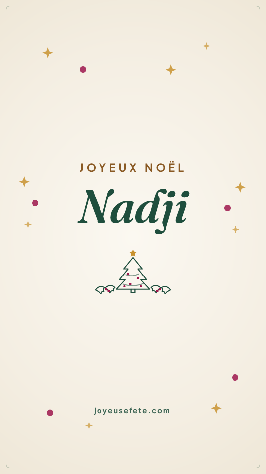 Image « Joyeux Noël Nadji » au format story