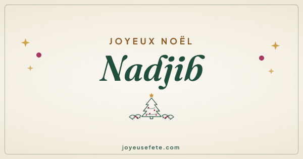 Image « Joyeux Noël Nadjib » au format large