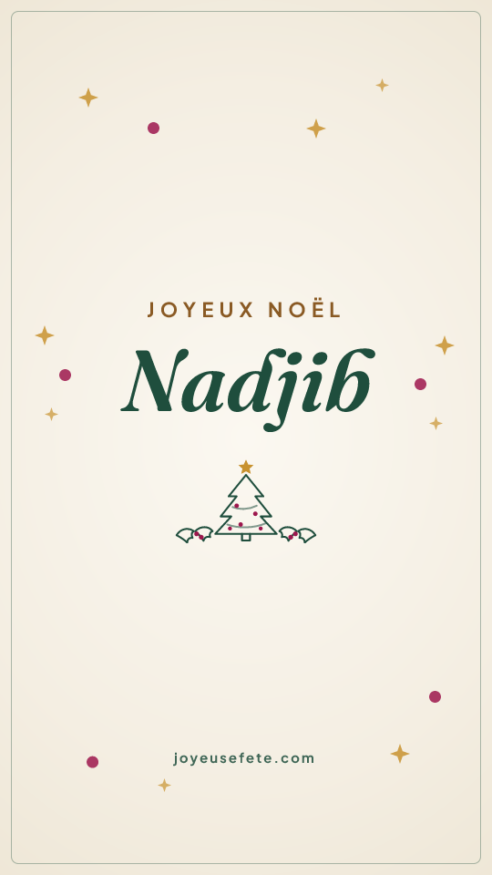 Image « Joyeux Noël Nadjib » au format story