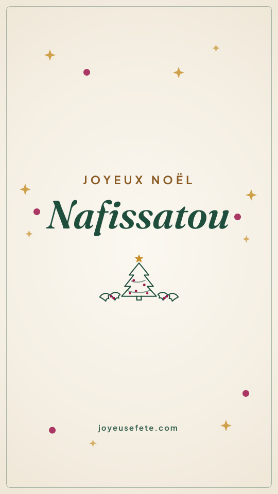 Image « Joyeux Noël Nafissatou » au format story