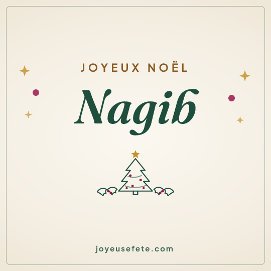 Image carrée « Joyeux Noël Nagib » pour WhatsApp