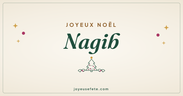 Image « Joyeux Noël Nagib » au format large