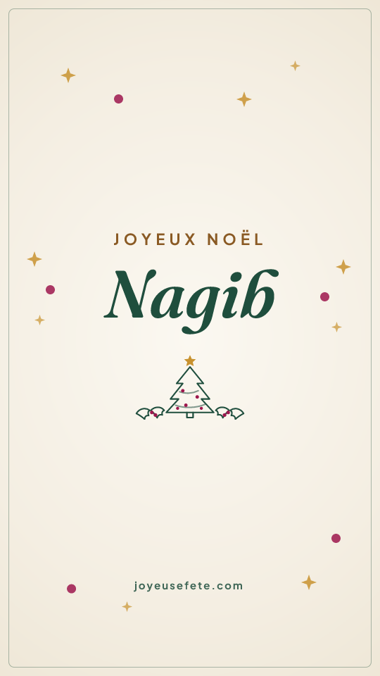 Image « Joyeux Noël Nagib » au format story