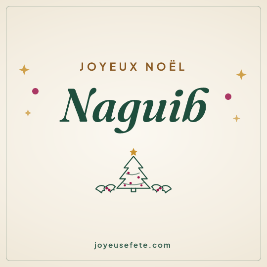 Image carrée « Joyeux Noël Naguib » pour WhatsApp