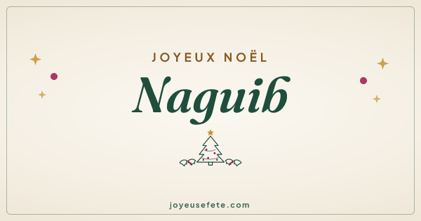 Image « Joyeux Noël Naguib » au format large
