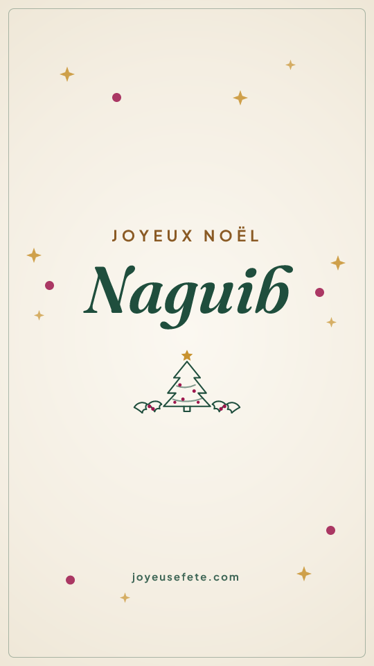 Image « Joyeux Noël Naguib » au format story