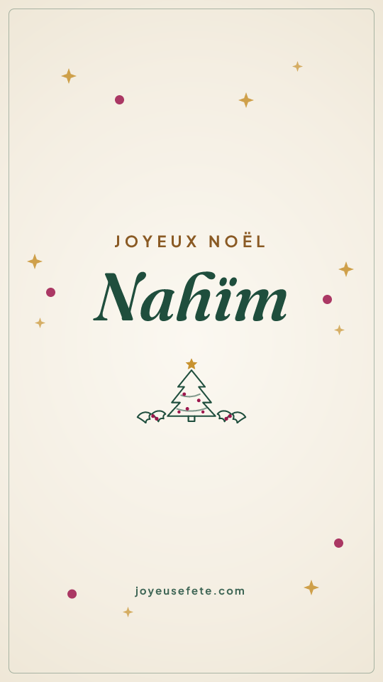Image « Joyeux Noël Nahïm » au format story