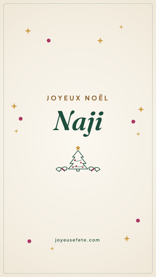 Image « Joyeux Noël Naji » au format story