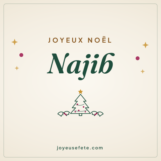 Image carrée « Joyeux Noël Najib » pour WhatsApp
