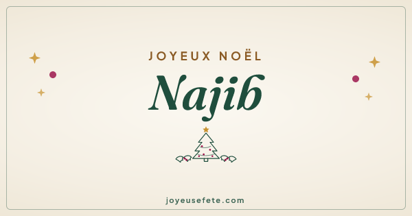 Image « Joyeux Noël Najib » au format large