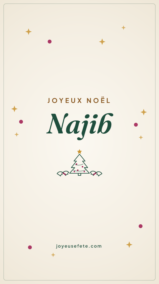 Image « Joyeux Noël Najib » au format story