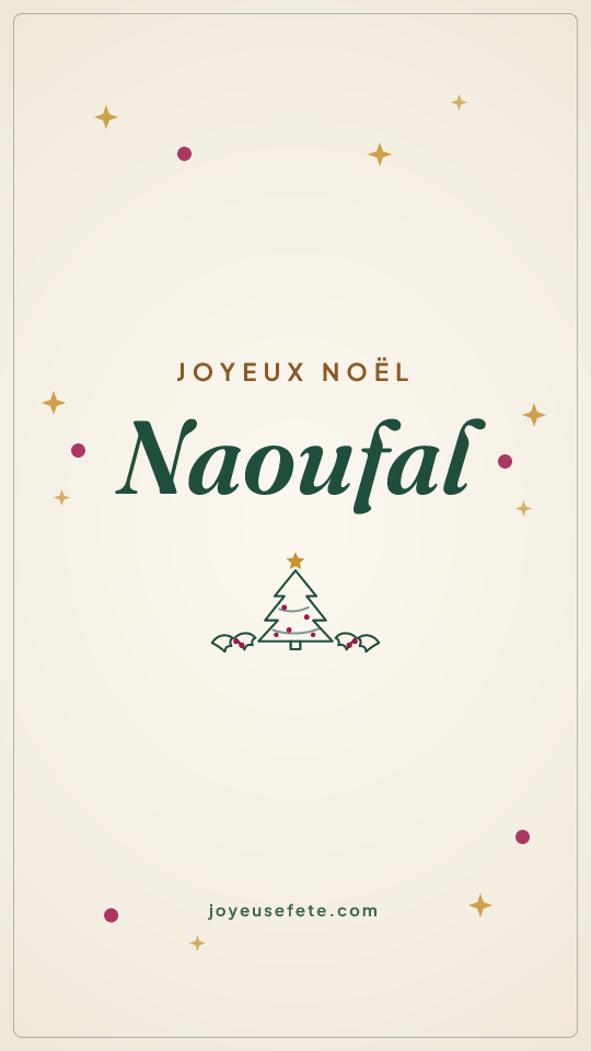 Image « Joyeux Noël Naoufal » au format story