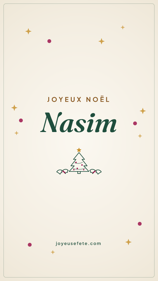 Image « Joyeux Noël Nasim » au format story