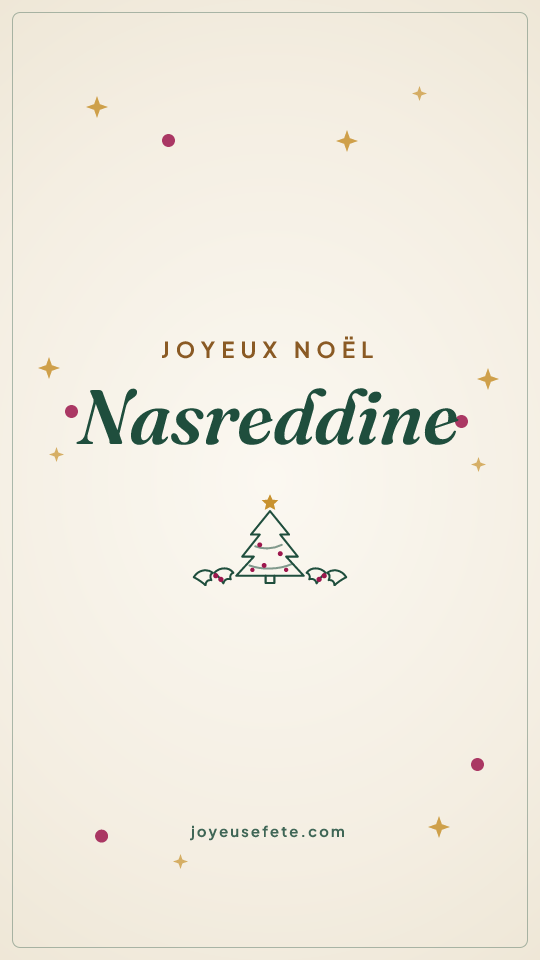 Image « Joyeux Noël Nasreddine » au format story