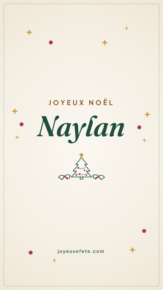 Image « Joyeux Noël Naylan » au format story