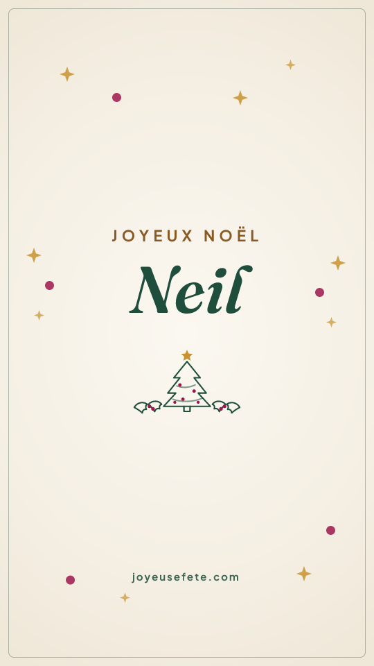 Image « Joyeux Noël Neil » au format story