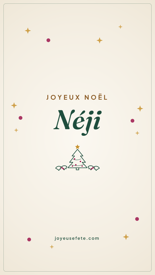 Image « Joyeux Noël Néji » au format story