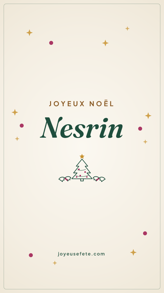 Image « Joyeux Noël Nesrin » au format story