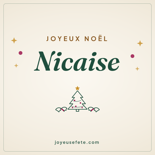 Image carrée « Joyeux Noël Nicaise » pour WhatsApp