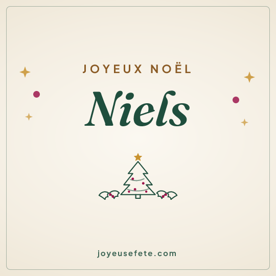 Image carrée « Joyeux Noël Niels » pour WhatsApp