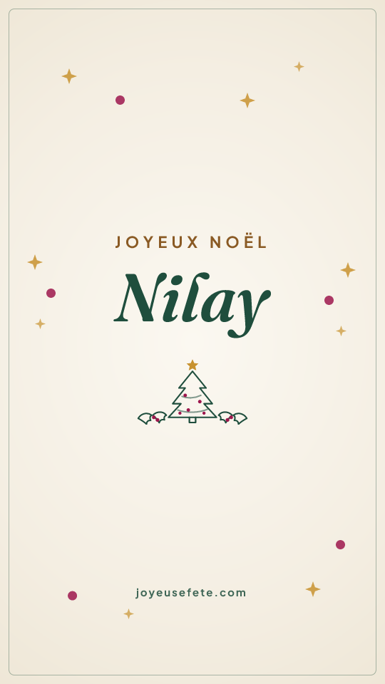 Image « Joyeux Noël Nilay » au format story