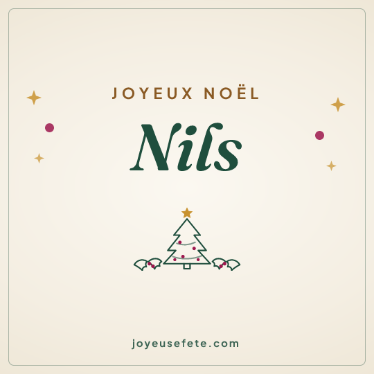 Image carrée « Joyeux Noël Nils » pour WhatsApp