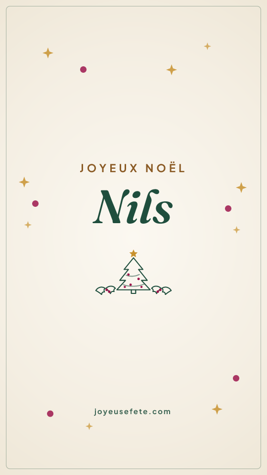 Image « Joyeux Noël Nils » au format story