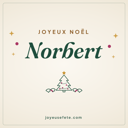 Image carrée « Joyeux Noël Norbert » pour WhatsApp