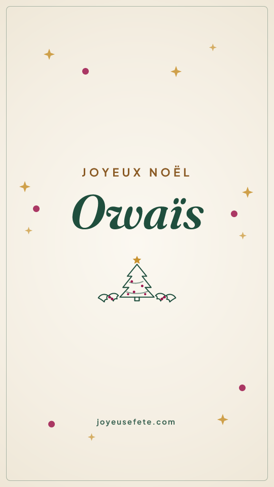 Image « Joyeux Noël Owaïs » au format story