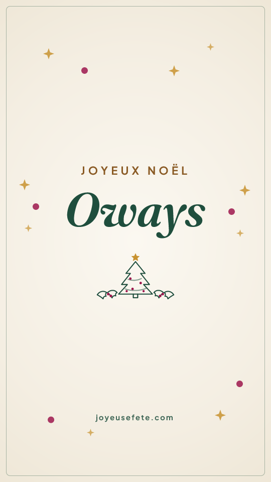Image « Joyeux Noël Oways » au format story