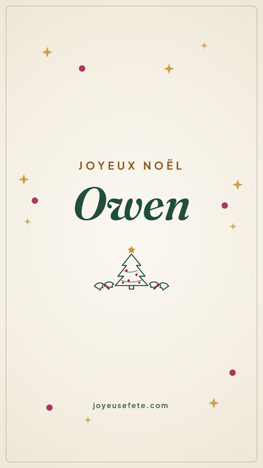 Image « Joyeux Noël Owen » au format story