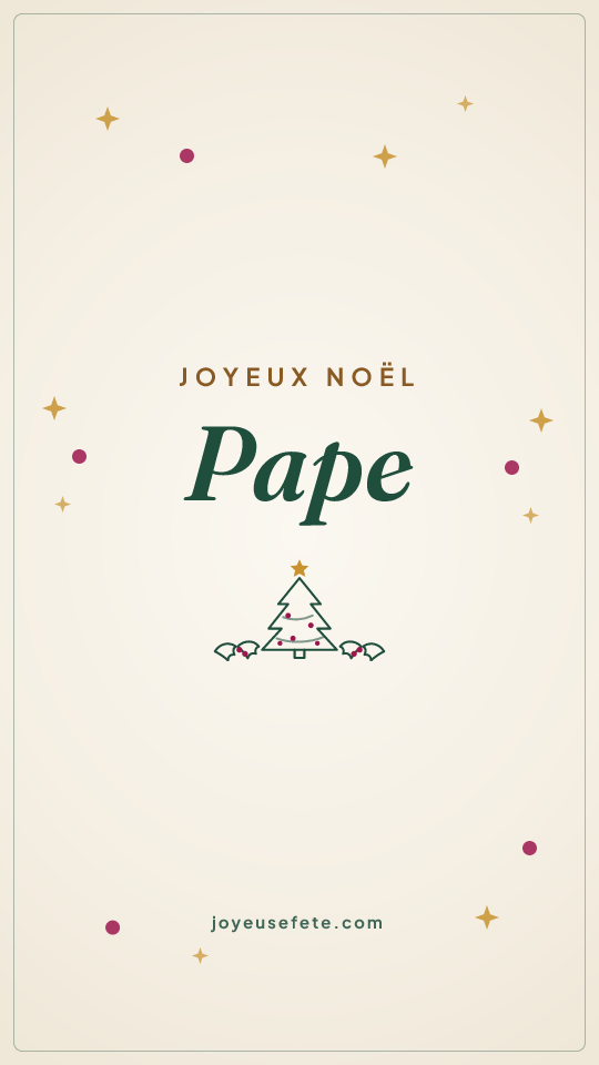 Image « Joyeux Noël Pape » au format story