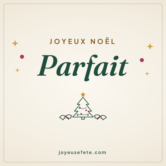 Image carrée « Joyeux Noël Parfait » pour WhatsApp