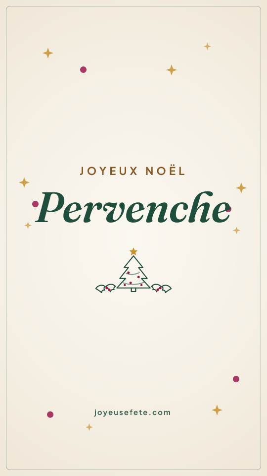 Image « Joyeux Noël Pervenche » au format story