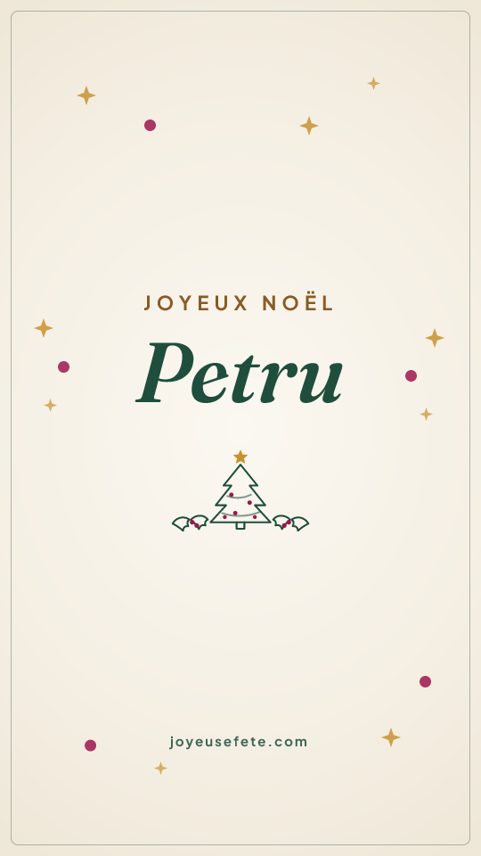 Image « Joyeux Noël Petru » au format story