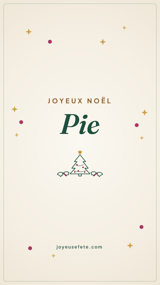 Image « Joyeux Noël Pie » au format story