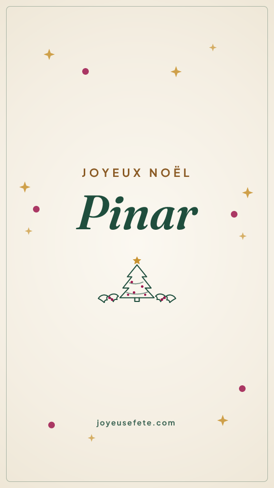 Image « Joyeux Noël Pinar » au format story