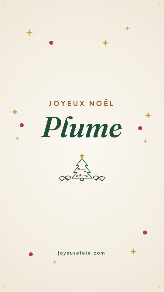Image « Joyeux Noël Plume » au format story