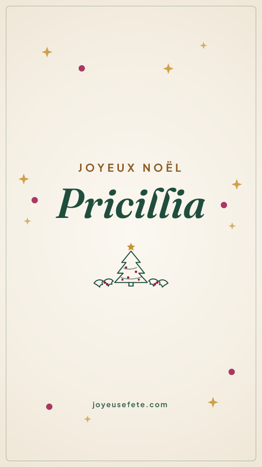 Image « Joyeux Noël Pricillia » au format story