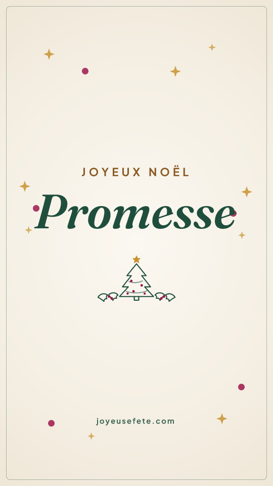 Image « Joyeux Noël Promesse » au format story